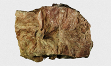 滑石（shí）磨粉